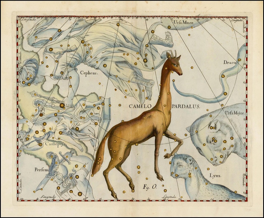 きりん座のヘヴェリウス星図