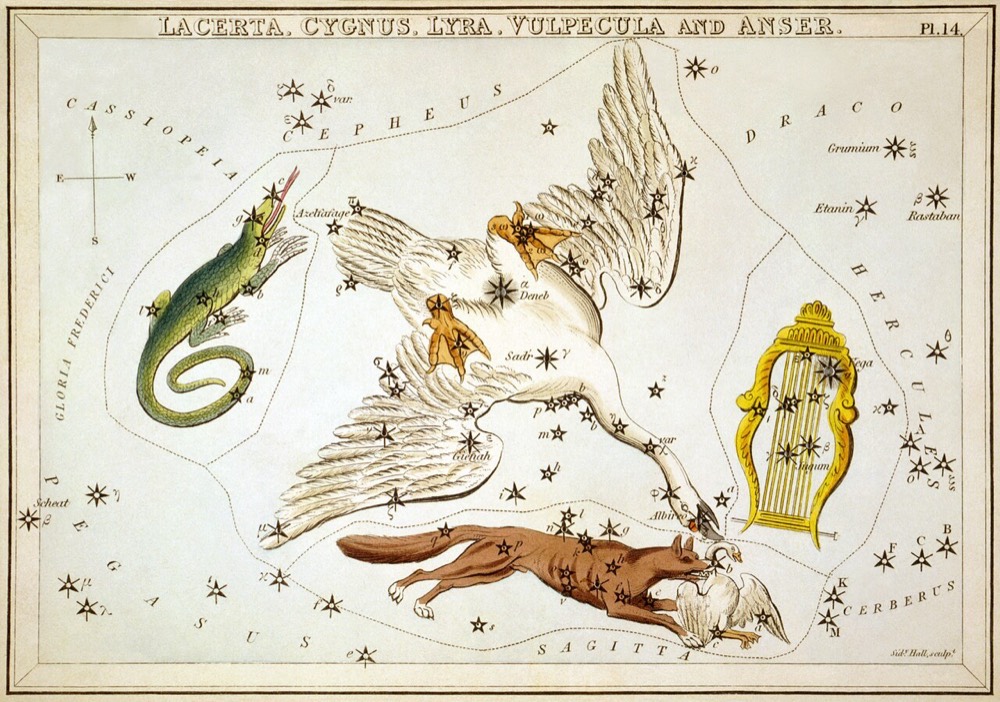 こと座のヘヴェリウス星図