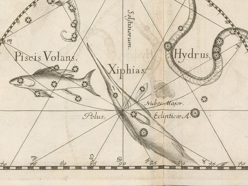 かじき座のヘヴェリウス星図