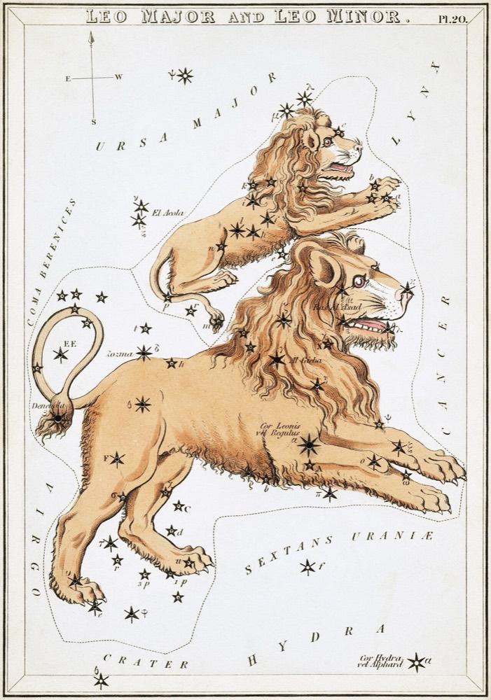 しし座のヘヴェリウス星図