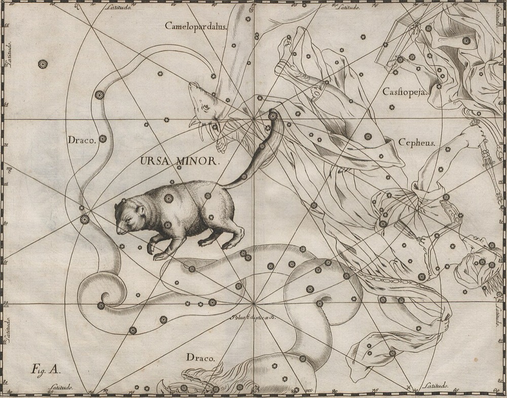 こぐま座のヘヴェリウス星図